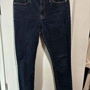 Hudson Jeans Dark Blue Skinny Denim